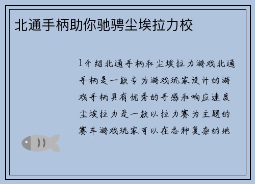 北通手柄助你驰骋尘埃拉力校
